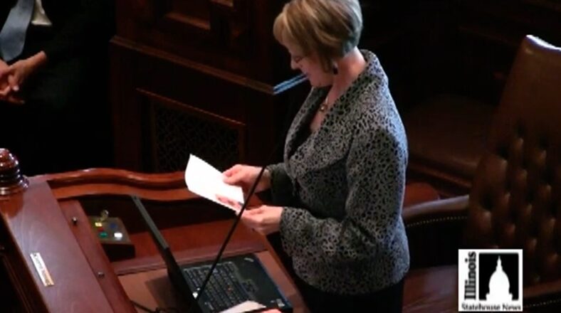 Raekwon from Wu-Tang Clan being mentioned by Illinois Republican leader during at the State House is the last thing most expected to happen on May 18, 2011, but it did.