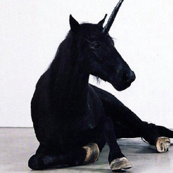 Unicorn