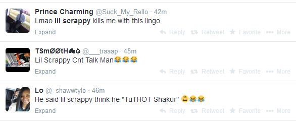 Lilscrappytweets2