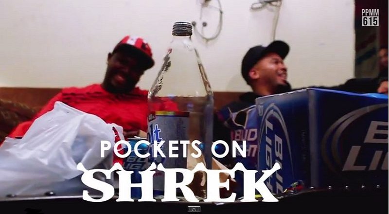 Pocketsonshrekvid