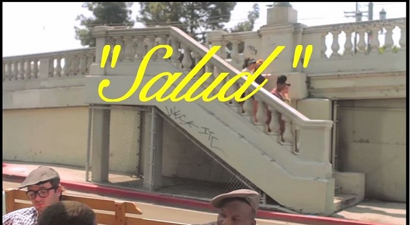 Saludvid