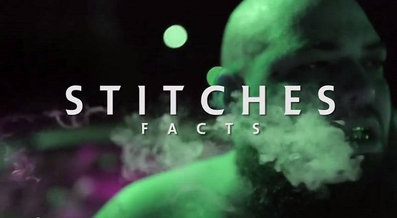 Factsstitchesvid