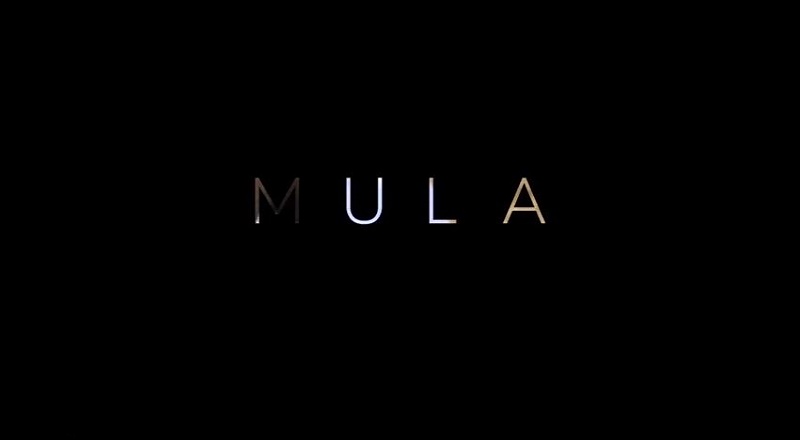 Mulavid