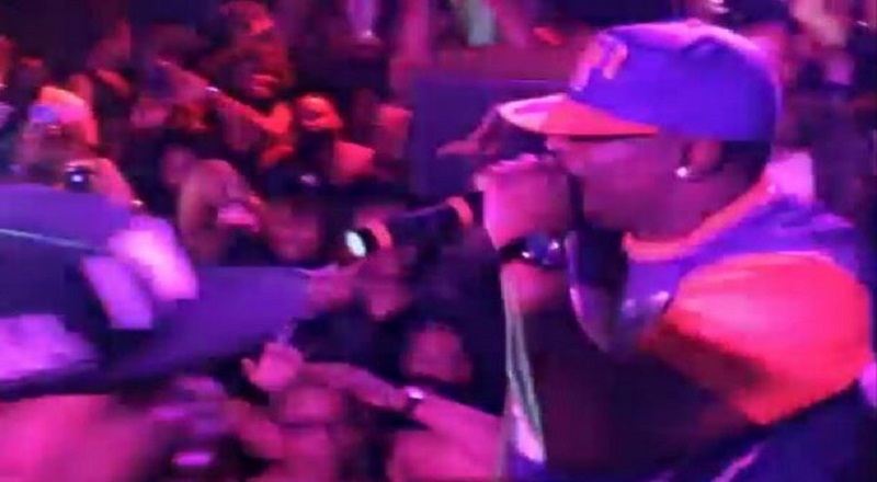 Turklivevid