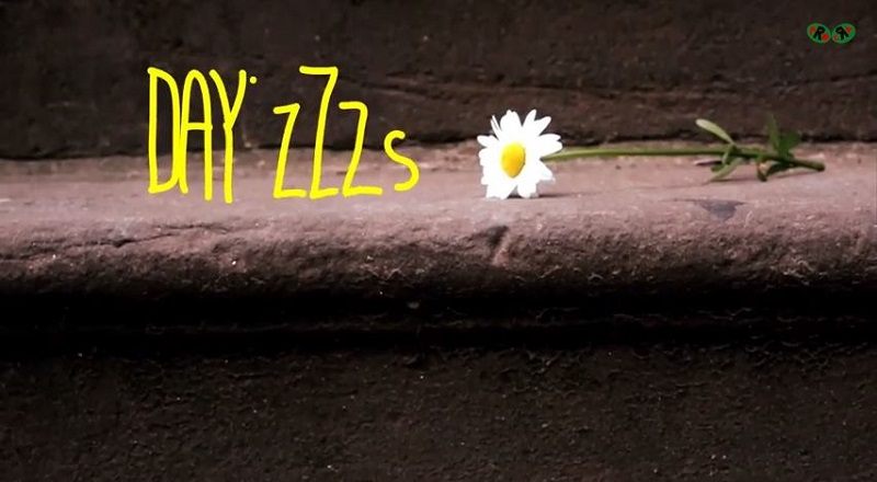 Dayzvid