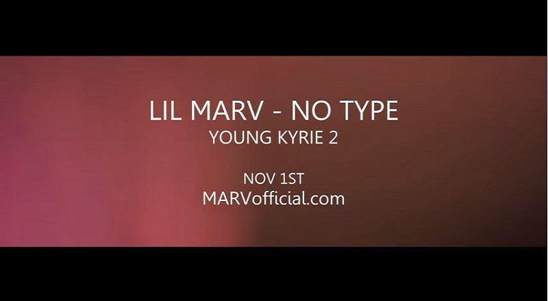 Notypelilmarvvid