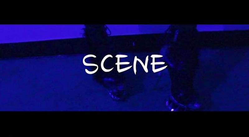 Scenevid