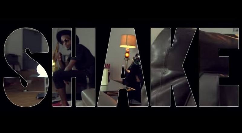 Shakevid