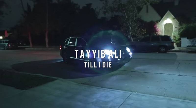 Tillidievid