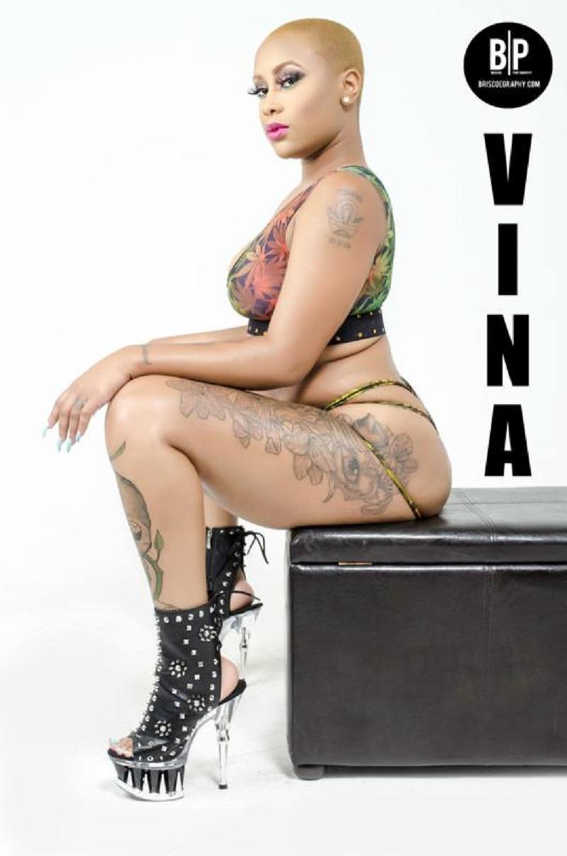 Vina The Model 3