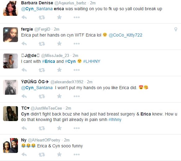 Ericacynfight5