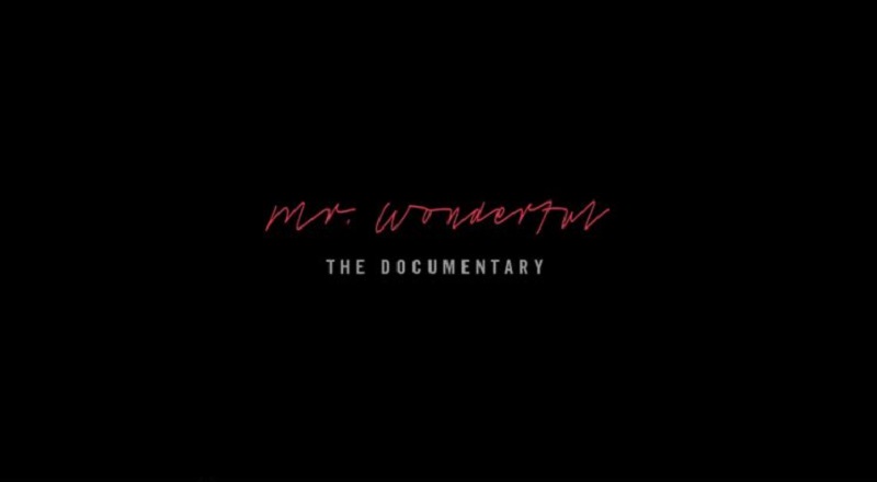 Mrwonderfuldocumentaryvid