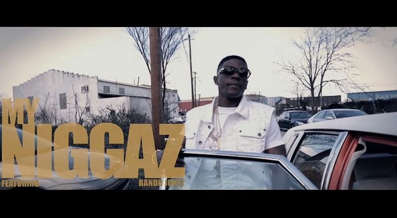 Myniggazvid
