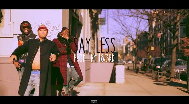 Saylessvid