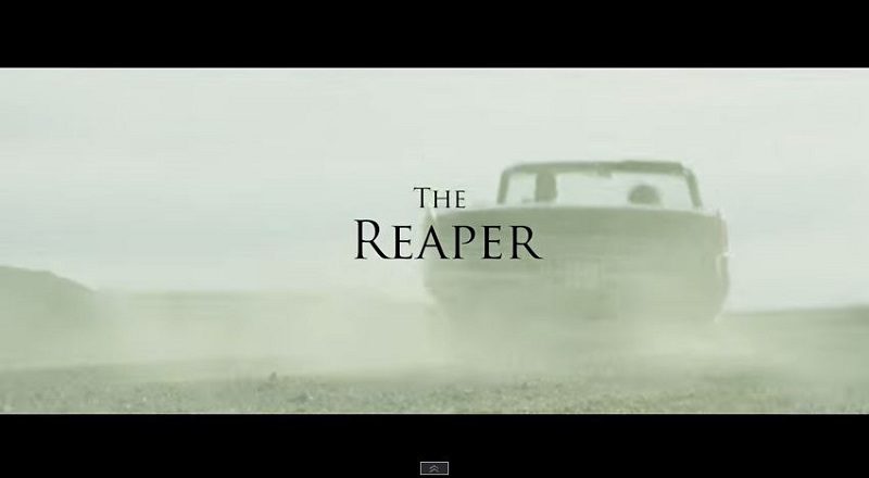 Thereapervid