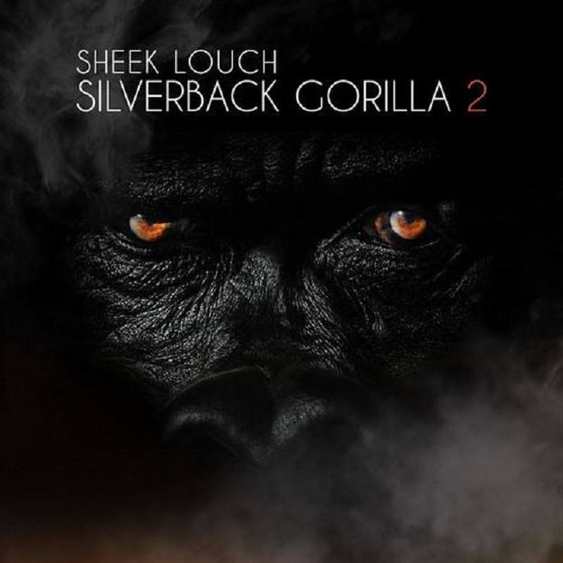 Silverback Gorilla 2
