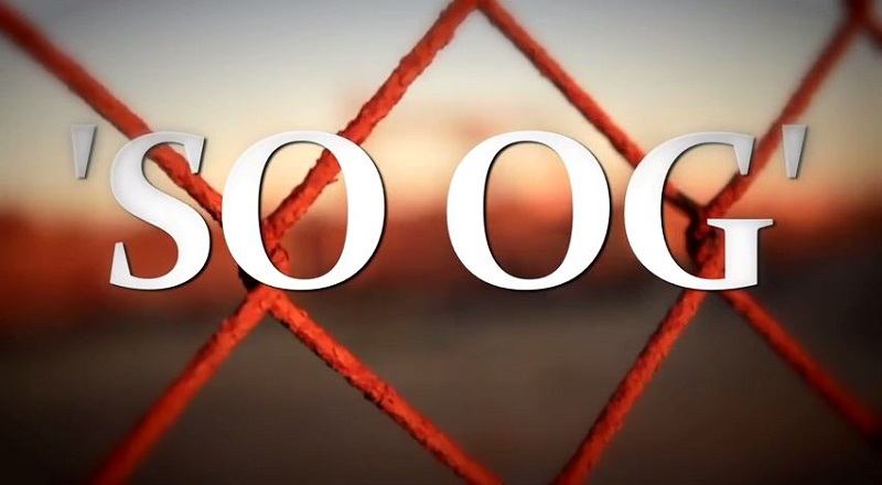 Soogvid