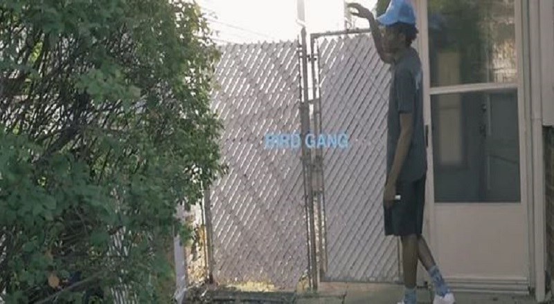 Birdgangvid