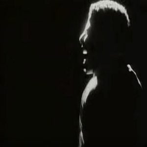 Niteanddayvid