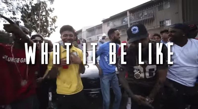 Whatitbelikevid