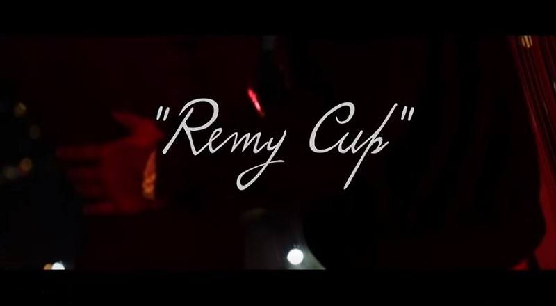 Remycupvid