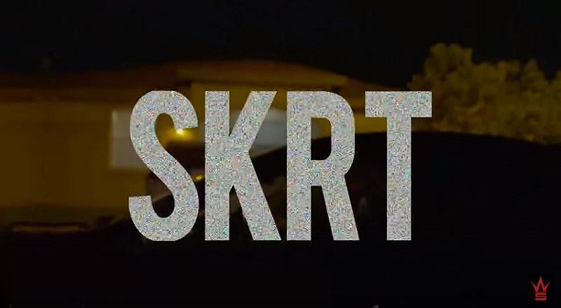 Skrtvid