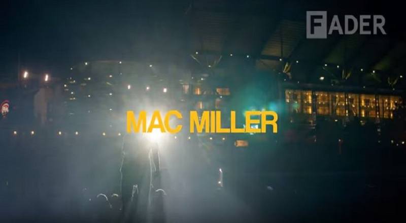 Macmillerfadervid