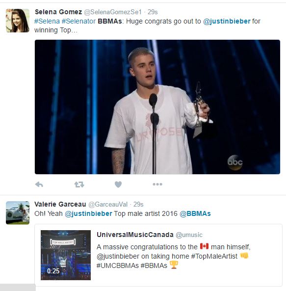 Bieberbbmas1