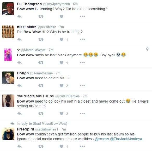 Bowwowmixed7