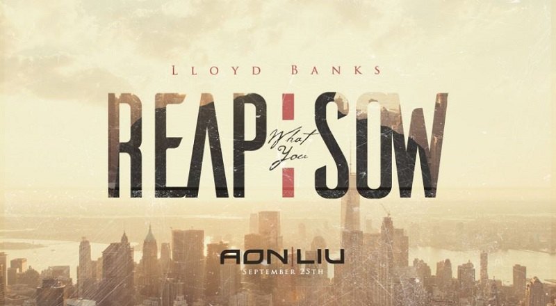 reap-what-you-sow