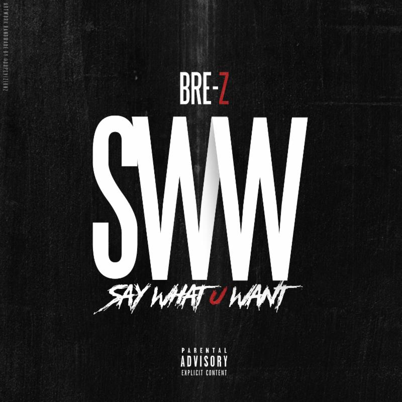 say-what-you-want