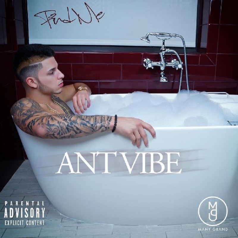 ant-vibe