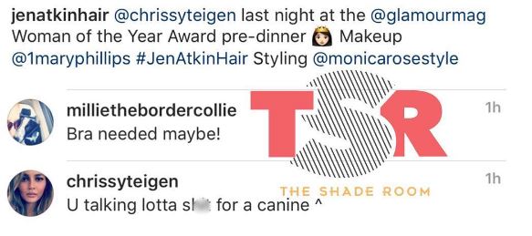 chrissycanineig