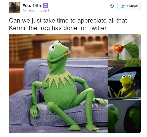 kermitlove1