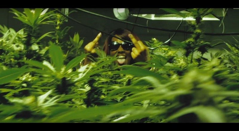 locdoutsmokedoutvid
