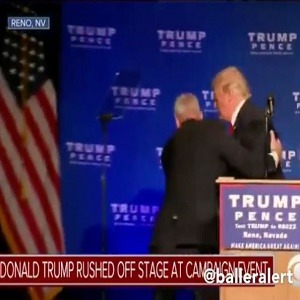 trumprenovid