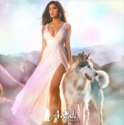 Anjali World