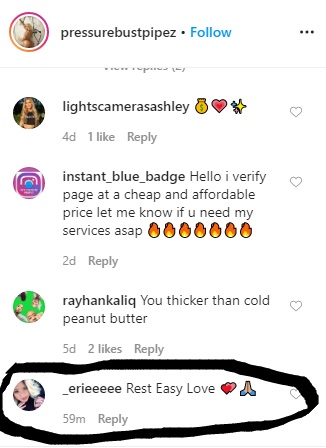 Popular Instagram model, @pressurebustpipez, was allegedly the woman who drowned in the pool at Carl Crawford's house. If this is correct, she is the woman who jumped in the pool to save the little boy, dying in the process, along with the little boy.