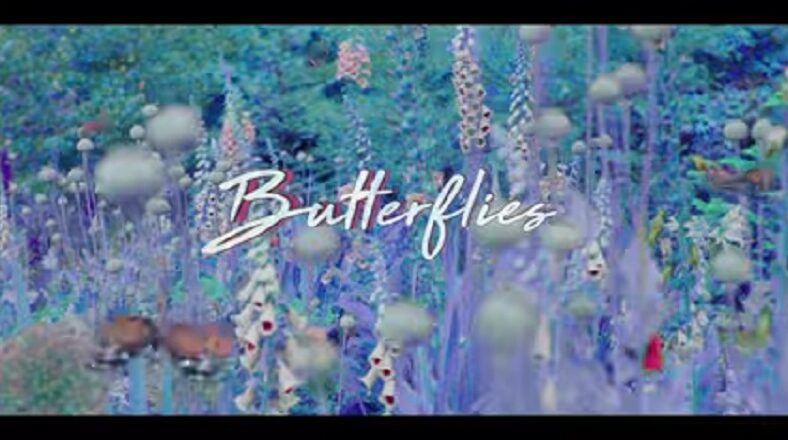 Queen Naija returns with her music video for "Butterflies, Pt. 2," her new single.