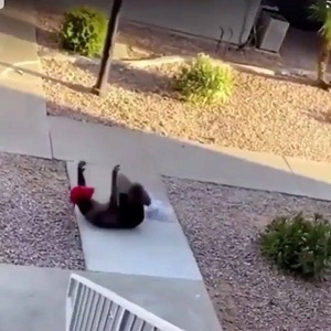 Lorenzo Jones, of Mesa, Arizona was filmed in a viral Facebook video, with his hands up. This was after he was having a discussion with a woman and five children were surrounding him. The Mesa SWAT team told him to put his hands up, but still shot him in the stomach with a bean bag, and as he laid on the ground, grimacing with pain, he was shot in the stomach, again, with a bean bag, told to keep his hands up.