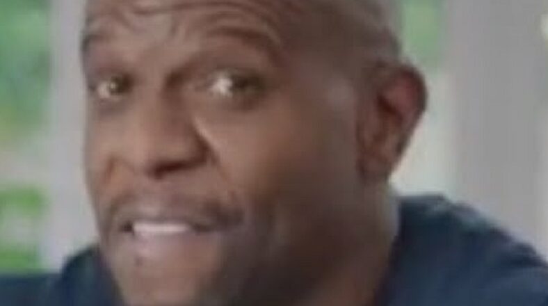 Terry Crews already spoke out, about Nick Cannon's firing, basically siding with ViacomCBS. One person, on Twitter, a black man called Terry Crews out, leading to a heated discussion. In this exchange, Terry Crews said he didn't grow up fearing the KKK, but he grew up fearing black people who thought he was "acting white."