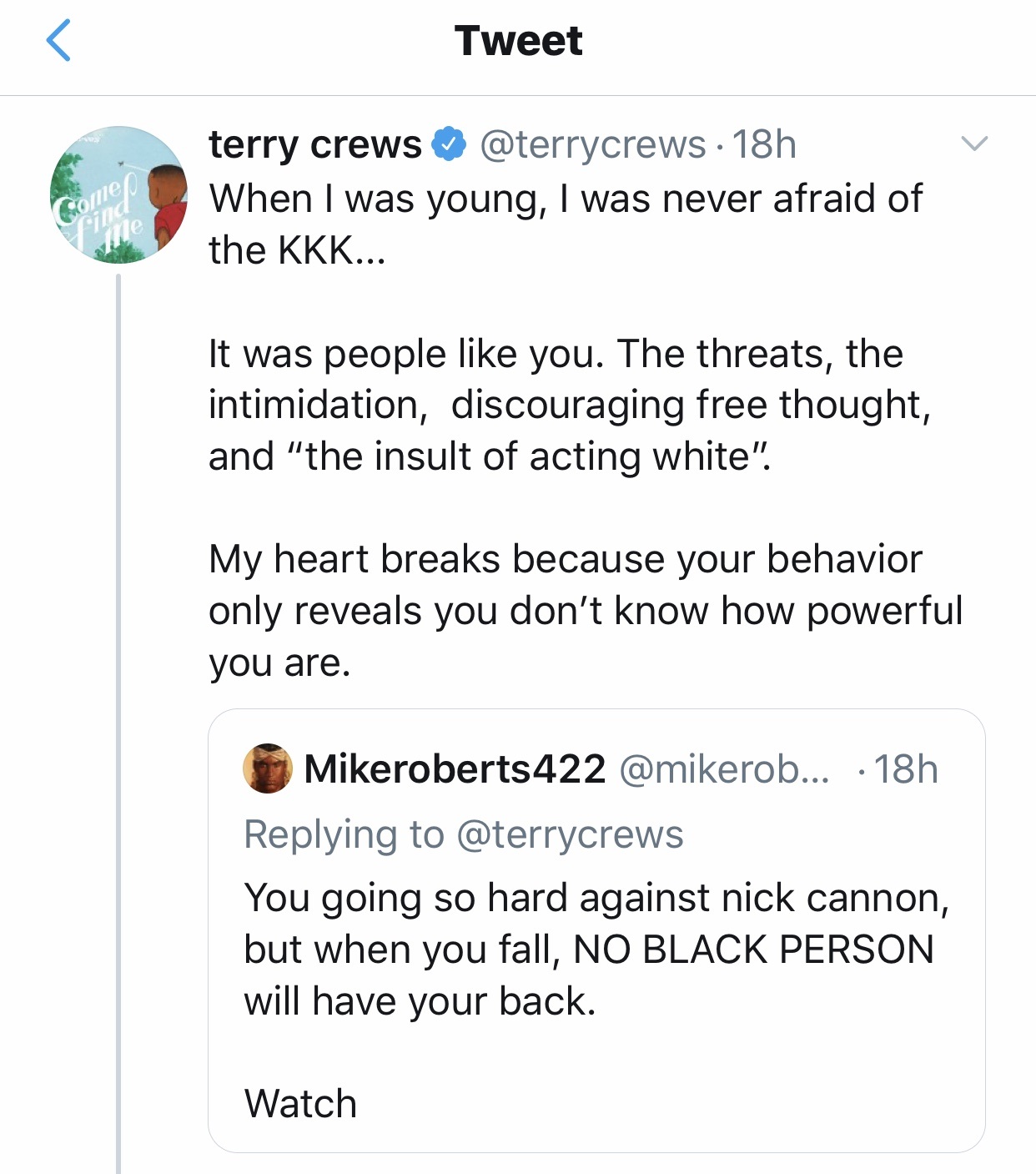 Terry Crews already spoke out, about Nick Cannon's firing, basically siding with ViacomCBS. One person, on Twitter, a black man called Terry Crews out, leading to a heated discussion. In this exchange, Terry Crews said he didn't grow up fearing the KKK, but he grew up fearing black people who thought he was "acting white."