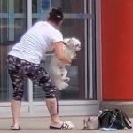 Nikki Dika shares a video of a woman, in Niagara Falls, New York, showing out in front of a local store. Apparently, the woman was denied entry into the store, with her dog, so she went on a racist tirade, in front of the building. She repeatedly threatened the employee, threatening to call the police on him, but ran and hid, when the cops actually came... for her.