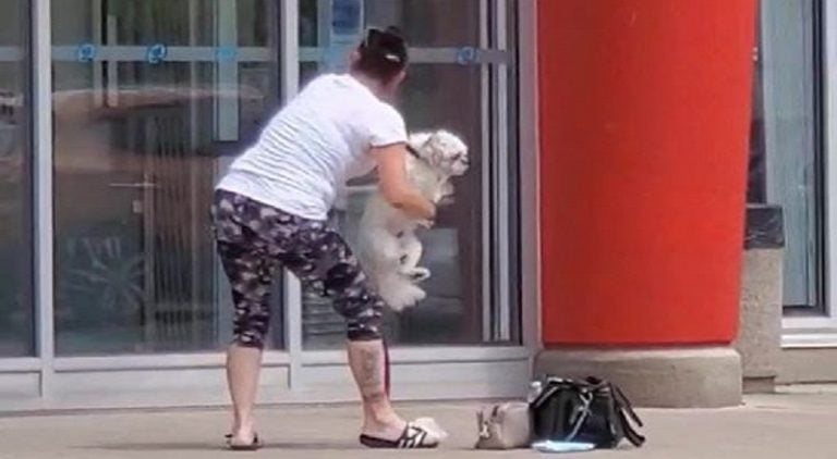 Nikki Dika shares a video of a woman, in Niagara Falls, New York, showing out in front of a local store. Apparently, the woman was denied entry into the store, with her dog, so she went on a racist tirade, in front of the building. She repeatedly threatened the employee, threatening to call the police on him, but ran and hid, when the cops actually came... for her.