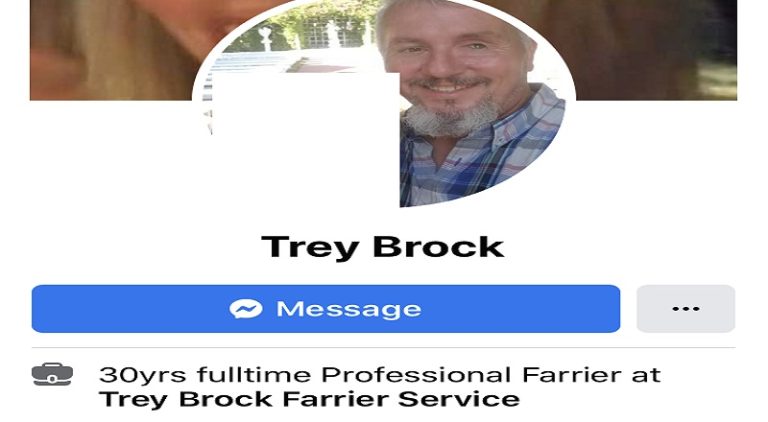 Trey Brock is the owner of Trey Brock Farrier Service, in Huntsville, Texas. Apparently, he is a huge supporter of Texas' governor, Greg Abbott, who has allowed public schools to open. When a teacher, a black woman, ended up having to quarantine for fourteen days, and called the governor out, saying to pray for the special needs children. Trey Brock saw this news post, on Facebook, and immediately hurled insults, saying somebody needed to pray for her hair, and later referred to her as a gorilla.