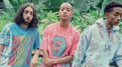 Willow Smith recently shared a photo of herself with her older brother, Jaden. This photo showed a new style for Willow, with her hair shaved bald. This photo has since gone viral, on Twitter and Facebook, with people calling Willow a "stud."