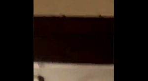 Johnny Kash, aka @FoolieJiGG, on Twitter, shared the aftermath of his date night. The woman in his company invited him back to her house, where he encountered roaches, filming and sharing the video to Twitter. There, people criticized him, telling him he probably still smashed her, which he denied, saying he left as soon as he saw the roaches.