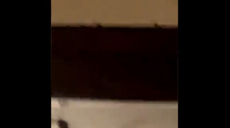 Johnny Kash, aka @FoolieJiGG, on Twitter, shared the aftermath of his date night. The woman in his company invited him back to her house, where he encountered roaches, filming and sharing the video to Twitter. There, people criticized him, telling him he probably still smashed her, which he denied, saying he left as soon as he saw the roaches.