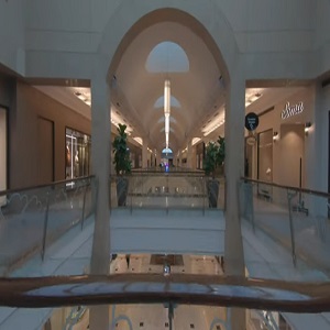 Lenox Square Mall metal detectors