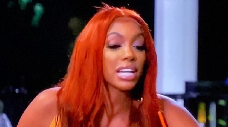 Porsha Kenya jealousy hate vile Instagram Twitter